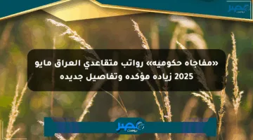 «مفاجأة حكومية» رواتب متقاعدي العراق مايو 2025 زيادة مؤكدة وتفاصيل جديدة